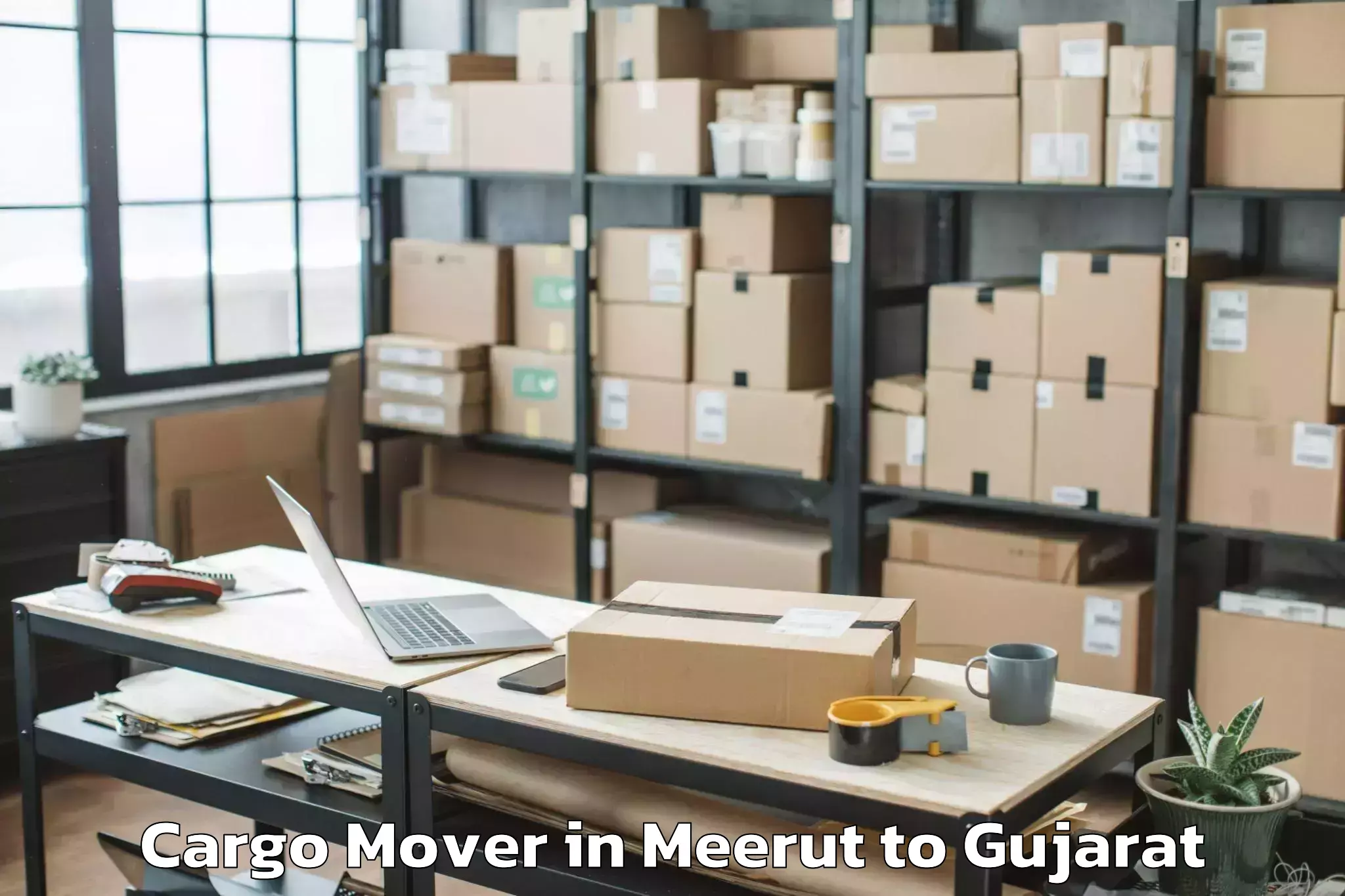 Book Meerut to Kavant Cargo Mover Online